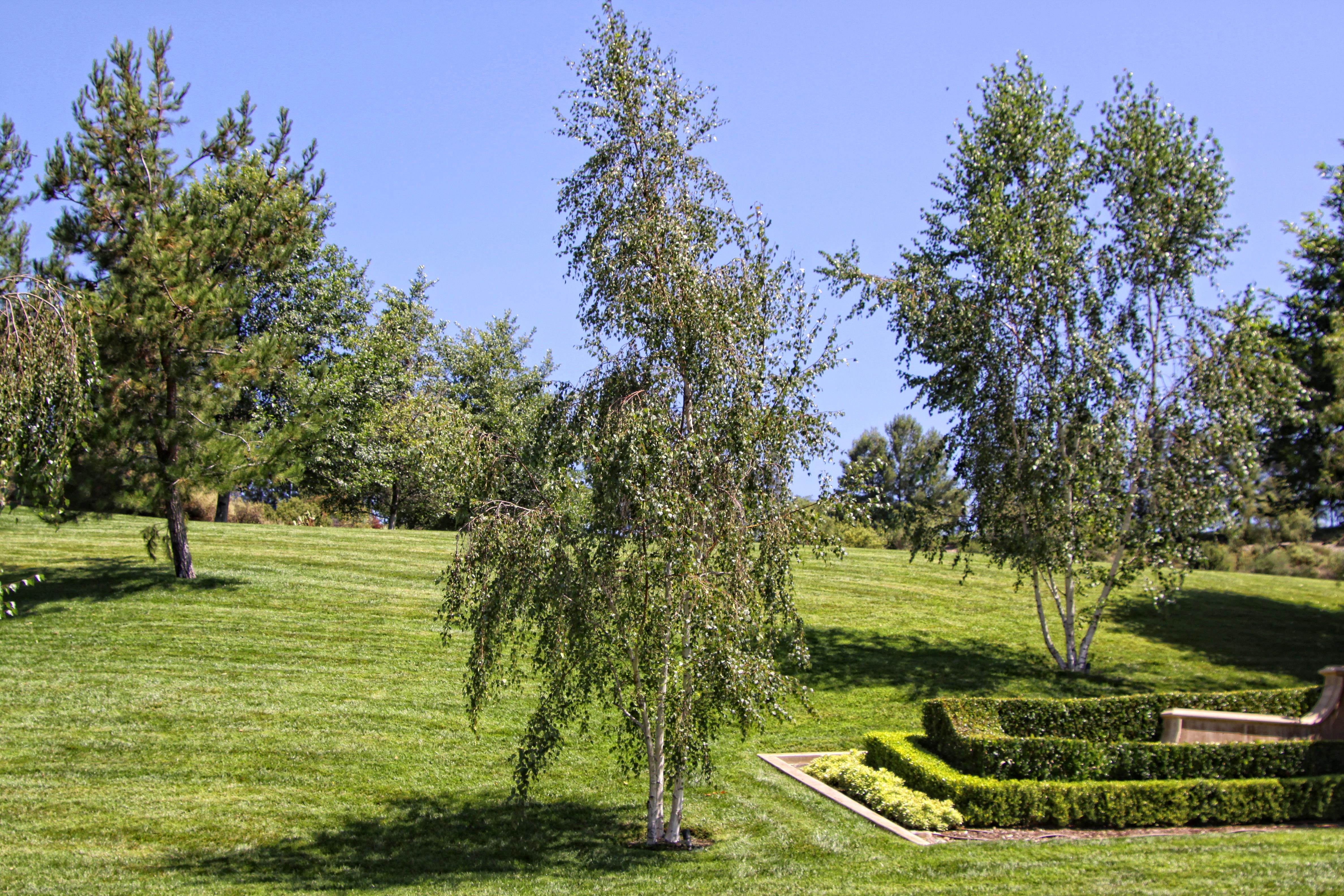 Work Image